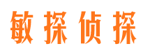 颍泉市私家侦探